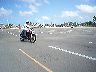 mtii319