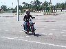 mtii2951