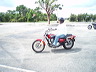 mtii12988