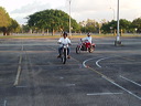mtii14175