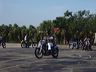 mtii10961