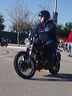 mtii22988