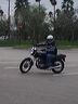 mtii23031