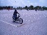 mtii0355