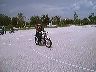 mtii0361
