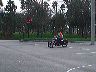 mtii11354