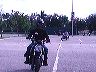 mtii7341