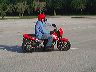 mtii8061