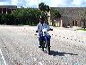 mtii329