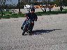 mtii6447