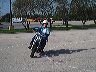 mtii8816