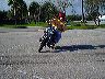 mtii10479