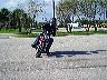 mtii10491