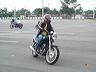 mtii31779