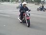 mtii31795