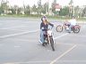 mtii31822