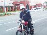 mtii229
