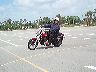 mtii295