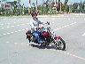 mtii304