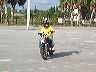 mtii529