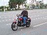 mtii1429