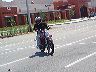 mtii2975