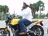 mtii8175
