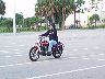 mtii3681