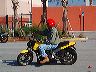 mtii6494