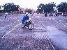 mtii13774