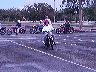 mtii13779