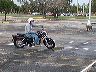 mtii13786