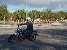 mtii14334