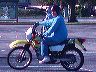 mtii16490
