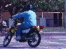 mtii16496