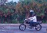 mtii18299