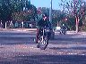 mtii19042