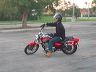mtii24848