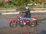 mtii26575